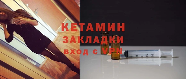 шишки Белокуриха