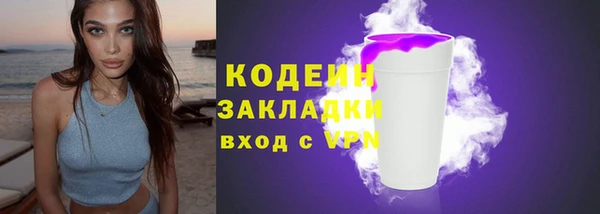 шишки Белокуриха