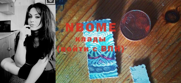 шишки Белокуриха