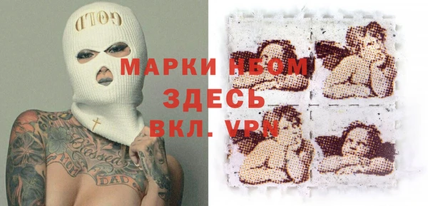 шишки Белокуриха