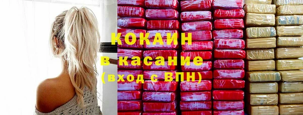 шишки Белокуриха