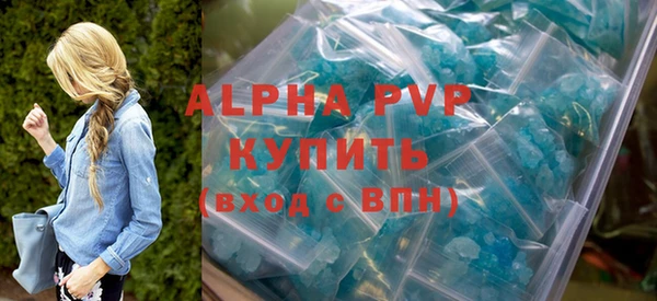 шишки Белокуриха