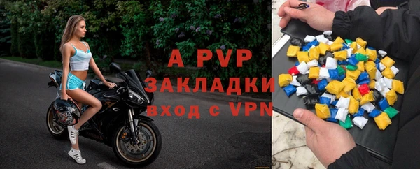 шишки Белокуриха