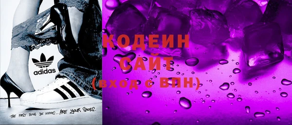 шишки Белокуриха